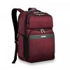 Transcend Cargo Backpack by Briggs & Riley