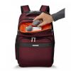 Transcend Cargo Backpack by Briggs & Riley