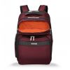 Transcend Cargo Backpack by Briggs & Riley