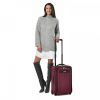 Transcend Tall Carry-On Expandable Upright (2 wheel) by Briggs & Riley